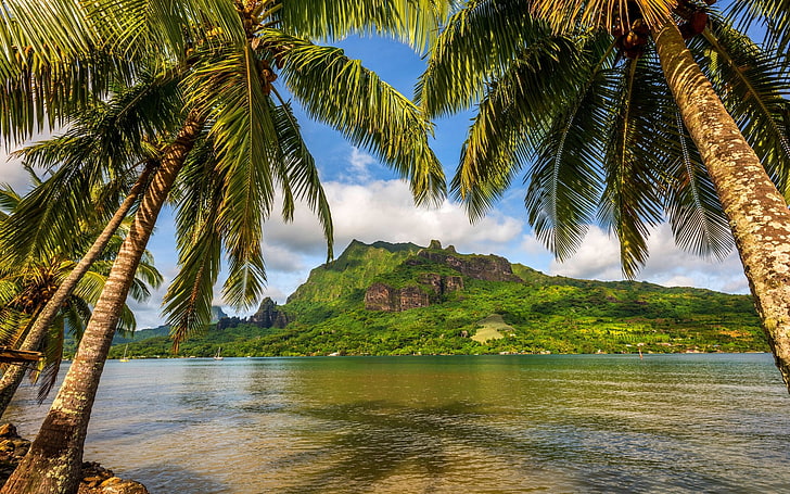nature, landscape, clouds, sky, island, Bora Bora, palm trees, sea, bay, mountains, tropical, HD wallpaper