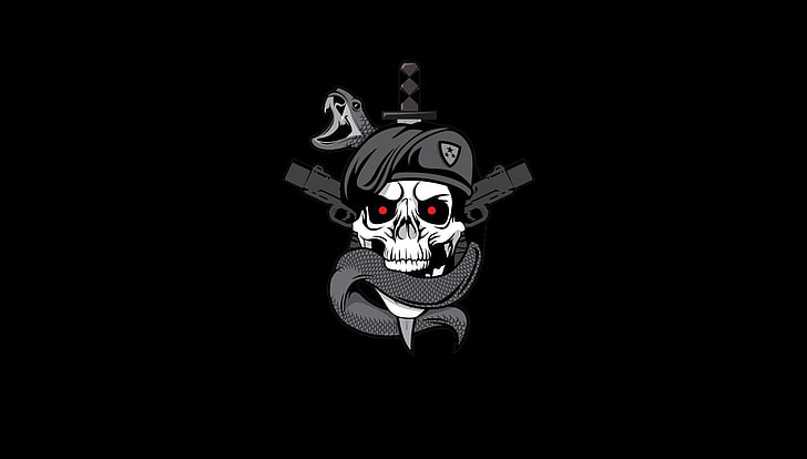 crâne avec papier peint numérique de serpent, emblème de crâne gris et noir, Call of Duty, Call of Duty: Black Ops, fond simple, simple, sombre ops, Fond d'écran HD