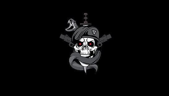 crâne avec papier peint numérique de serpent, emblème de crâne gris et noir, Call of Duty, Call of Duty: Black Ops, fond simple, simple, sombre ops, Fond d'écran HD HD wallpaper