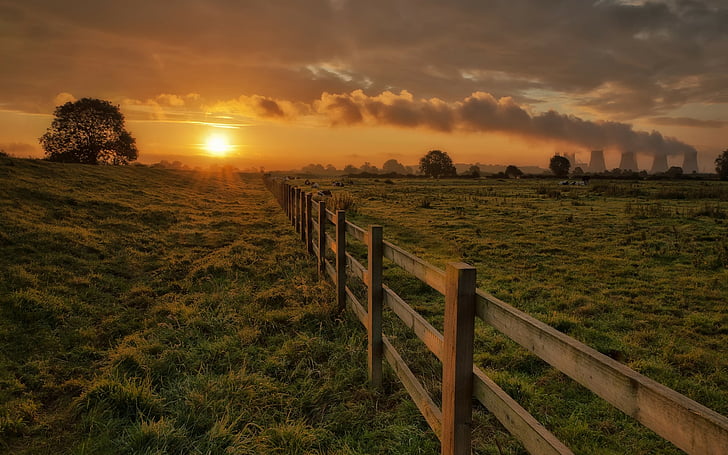 clouds, corral, cows, evening, fence, fencing, grass, landscapes, nuclear, radiation, sky, sun, sunset, trees, HD wallpaper