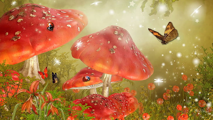 Mystical Mushrooms, ladybugs, papillon, poppies, flowers, field, e bright, sparkles, mystical, dragonfly, lady bug, butt, HD wallpaper