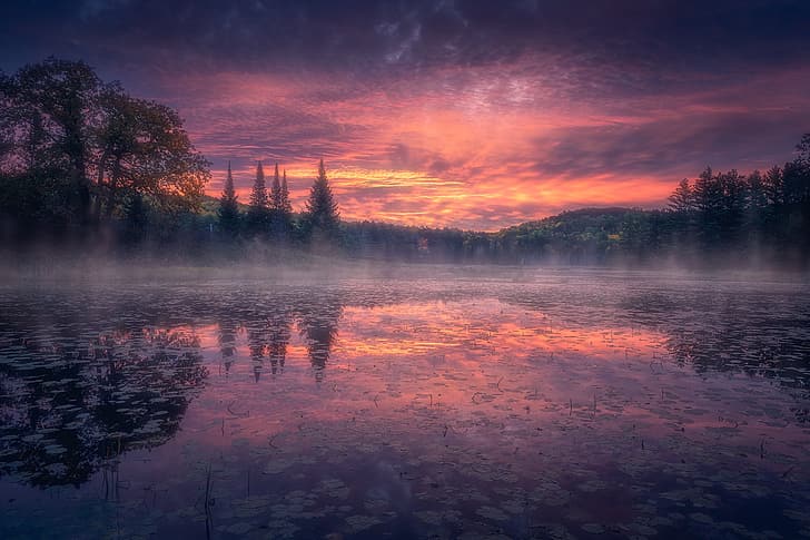 forest, fog, lake, reflection, sunrise, dawn, morning, Canada, Ontario, HD wallpaper