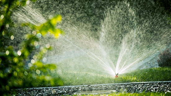 natur, wasser, grün, garten, rasen, gras, bewässerungssystem, sprinkler, bewässerung, sonnenlicht, bewässerungssprinkler, HD-Hintergrundbild HD wallpaper