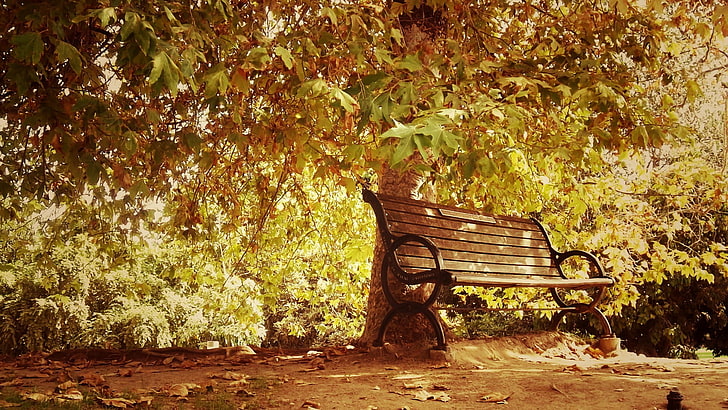 коричневая деревянная скамья, фото коричневой деревянной скамьи возле дерева, скамейка, осень, времена года, листья, деревья, грязь, HD обои