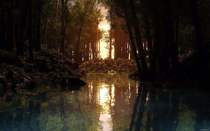 réflexion, CGI, coucher de soleil, forêt, criques, Fond d'écran HD
