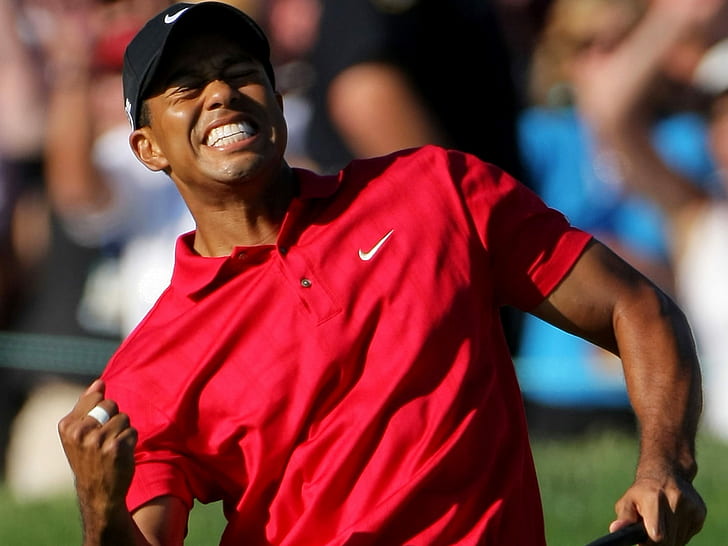 Tiger Woods, Celebrities, Golf Player, Sport, Win, tiger woods, tiger woods, celebrities, golf player, sport, win, HD wallpaper