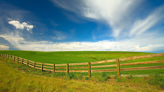 Fence Field Grass HD, ธรรมชาติ, หญ้า, ฟิลด์, รั้ว, วอลล์เปเปอร์ HD HD wallpaper