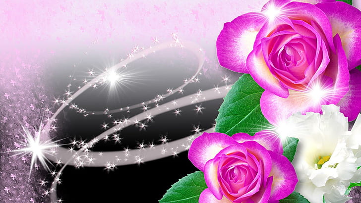 Everbright Roses, glitter, rose, stelle, neon, luminoso, rosa, fiori, artistico, drammatico, scintillii, naturale, bagliore, Sfondo HD