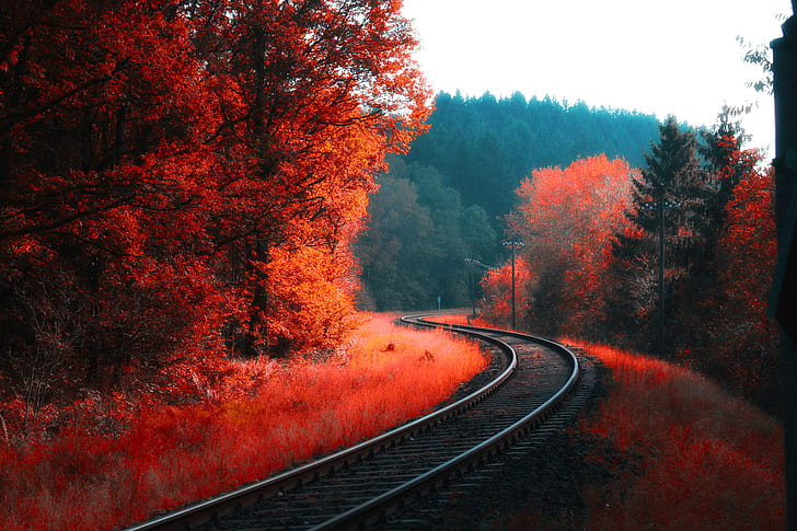 пейзаж, лес, деревья, осень, железная дорога, разноцветные, листья, HD обои