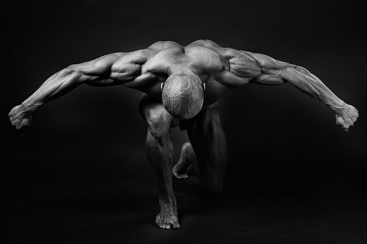 músculos, pose, costas, braços, fisiculturista, HD papel de parede