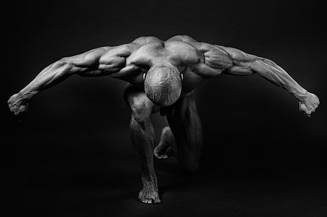 muscles, pose, dos, bras, bodybuilder, Fond d'écran HD HD wallpaper