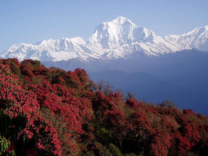 نيبال ، جبال الهيمالايا ، الجبال، خلفية HD