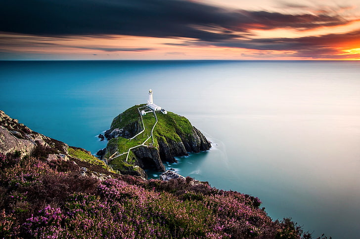 grüne und braune Rasenfläche, Landschaft, Wales, Leuchtturm, Blumen, Küste, Meer, Großbritannien, HD-Hintergrundbild