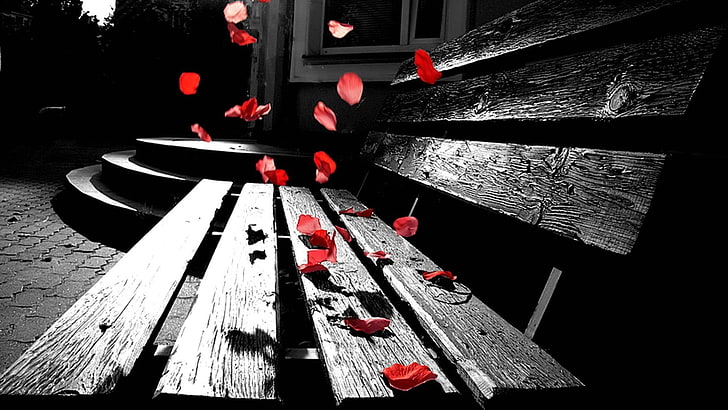 black and white floral area rug, bench, petals, sad, selective coloring, leaves, HD wallpaper