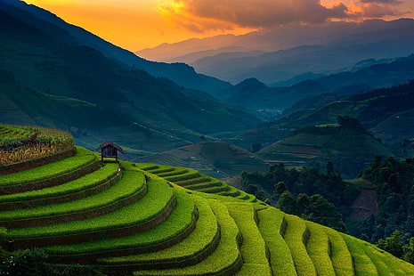 terraços de arroz, fotografia de paisagem de terraços de arroz, paisagem, natureza, arrozal, terraços, pôr do sol, campo, névoa, verde, Vietnã, luz solar, HD papel de parede HD wallpaper