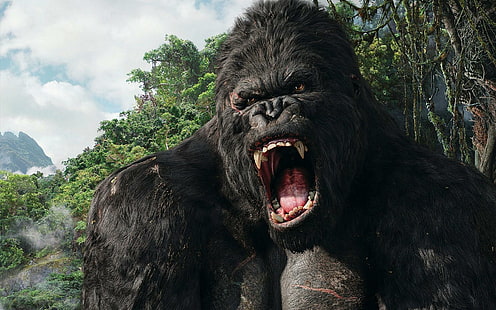 King Kong, King, Kong, film, Sfondo HD HD wallpaper