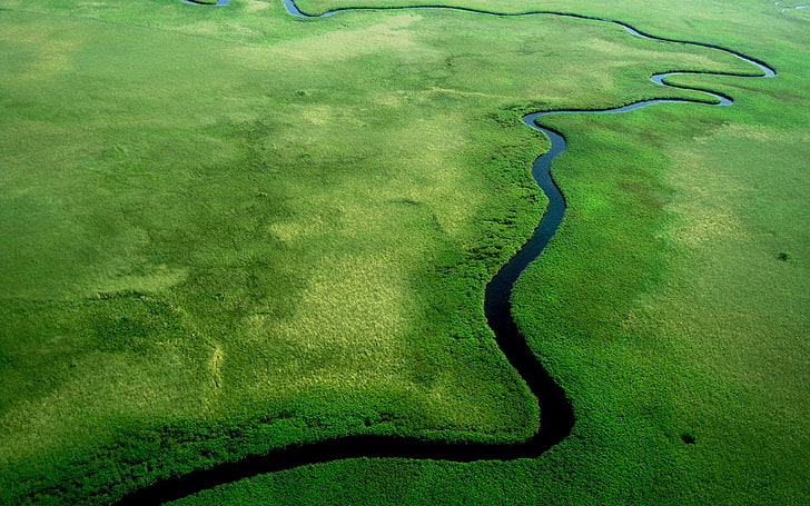 Luftbild von Fluss, Fluss, Dschungel, Fenster, Fenster 10, HD-Hintergrundbild