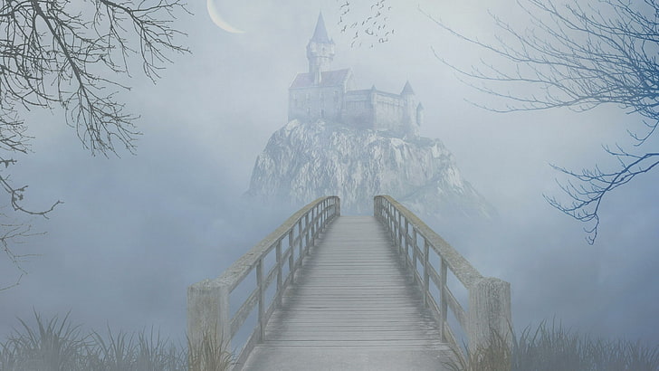 fog, sky, tree, mist, castle, fantasy art, gothic, bridge, footbridge, misty, moon, branch, mystic, HD wallpaper