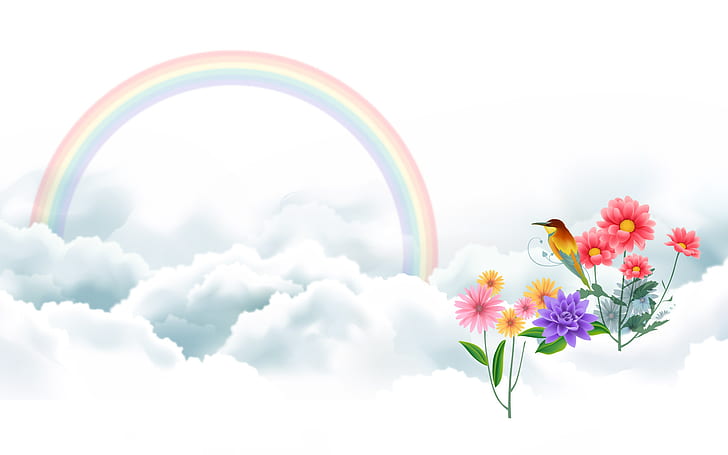 鳥の虹、鳥、虹、 HDデスクトップの壁紙