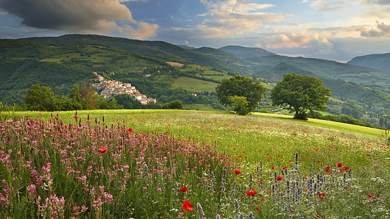 Papoilas no prado, campo de flores com montanha, flores, paisagens, natureza, campos, papoilas, prados, campo, natureza e paisagens, HD papel de parede HD wallpaper