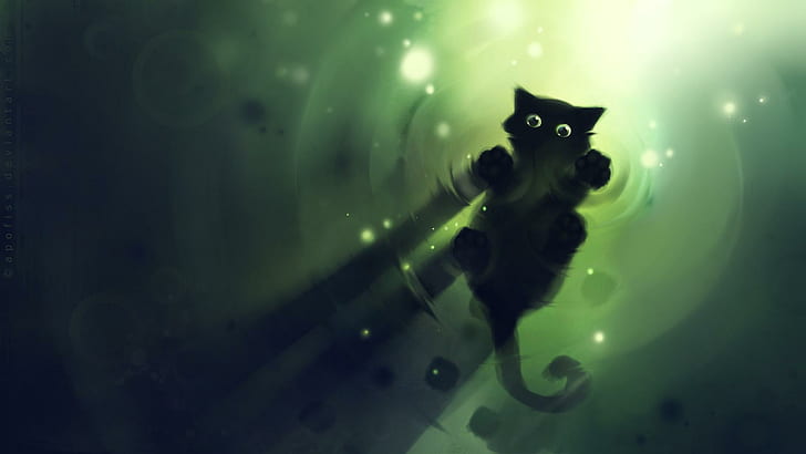 Симпатичная черная кошка с водяными огнями Живопись, милый, черный, вода, огни, живопись, HD обои