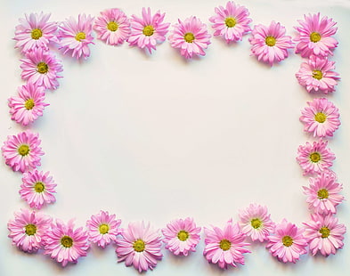 blooms, blossoms, border, colorful, copy space, daisy, design, floral, frame, fresh, nature, outline, pattern, pink, pink daisies, spring, summer, HD wallpaper HD wallpaper