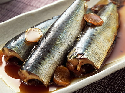 gekochter Fisch, Fisch, Teller, Soße, HD-Hintergrundbild HD wallpaper