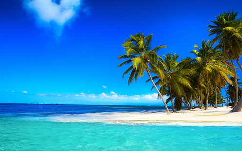Palm Beach Corner, пляж, пальмы, океан, пейзаж, небо, HD обои HD wallpaper