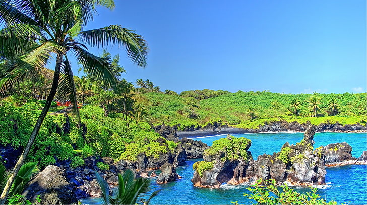 woda tropikalna, las tropikalny, Hawaje, wyspa Maui, Maui, palmy, plaża, wodospad, Tapety HD