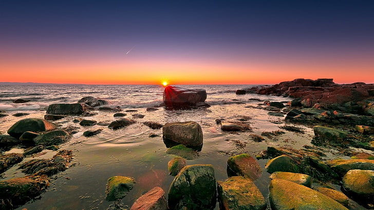 pescado marrón y negro con pecera, naturaleza, puesta de sol, mar, roca, cielo, costa, Fondo de pantalla HD