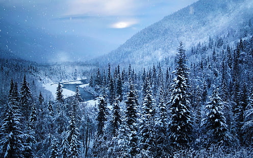 dużo sosny, zima, śnieg, drzewa, krajobraz, Alaska, natura, góry, las, rzeka, biały, zimno, cyjan, niebieski, pada śnieg, Tapety HD HD wallpaper