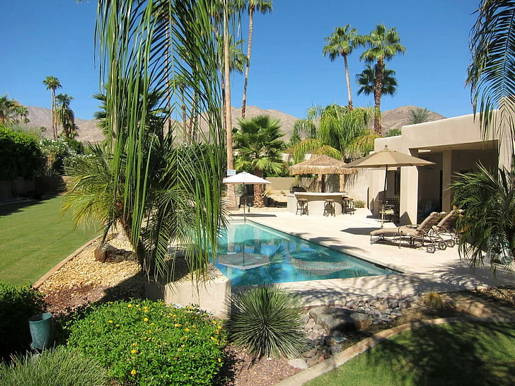 Ogród w Palm Springs Kalifornia Ameryka Usa, odosobnienie, oaza, pływanie, pustynia, kalifornia, źródła palm, ucieczka, palmy, ogród, sanktuarium, Tapety HD