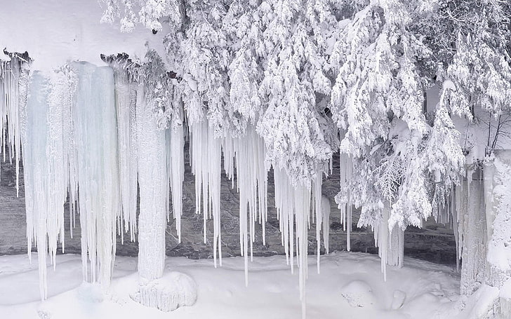 氷霜覆われた植物、つらら、枝、夢、霜、氷、白、 HDデスクトップの壁紙