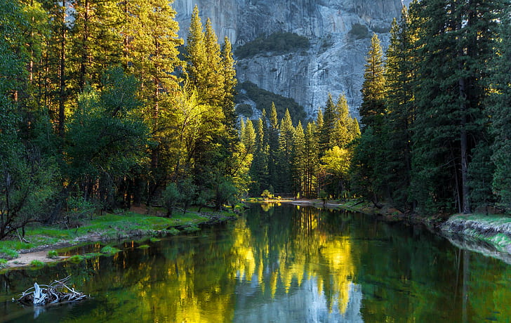Californie, États-Unis, montagne, pins près du lac et la montagne rocheuse, États-Unis, rivière, forêt, arbres, Parc national de Yosemite, Californie, montagne, Fond d'écran HD