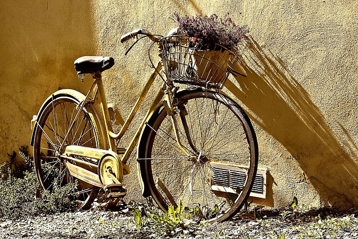 دراجة ، دراجة ، زهور ، قديمة ، عتيقة ، جدار، خلفية HD