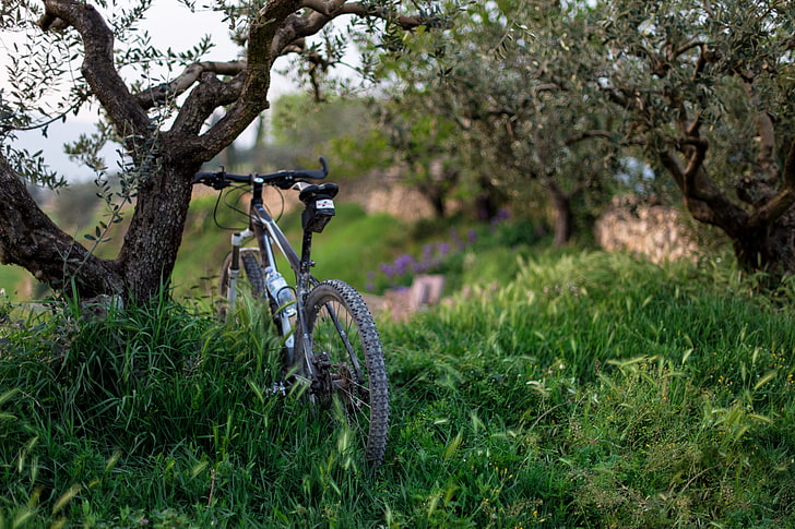black hardtail bike, bicycle, grass, trees, HD wallpaper