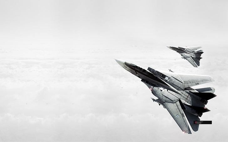 två grå rymdfarkoster, Ace Combat, flygplan, videospel, digital konst, militärflygplan, f-14, HD tapet
