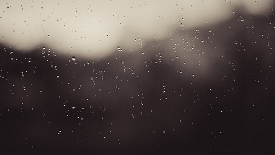 water drops, rain, water drops, glass, water on glass, window, monochrome, HD wallpaper HD wallpaper