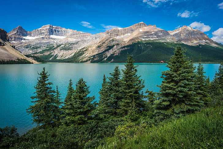 Lago Bow, Parque Nacional de Banff, Lago Bow, Parque Nacional de Banff, Alberta, Canadá, montanhas, céu, nuvens, Lago, árvores, HD papel de parede