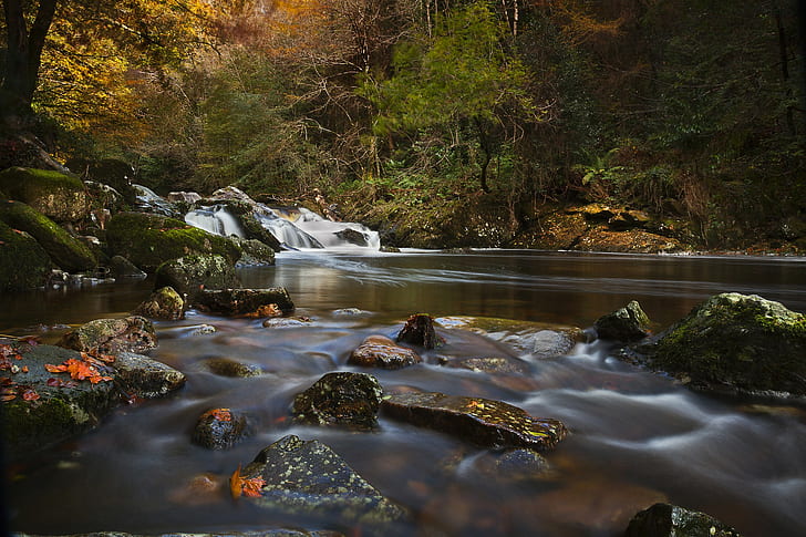 River Erme, Devon, England, River Erme, Devon, England, river, rocks, fall, forest, HD wallpaper