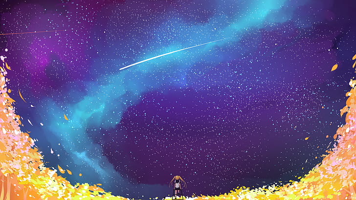 Anime Mädchen, Weltraum, Sterne, Galaxie, Sternschnuppen, Blütenblätter, Anime, HD-Hintergrundbild