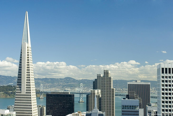 San Francisco City Skyline, gray concrete high rise building, Cityscapes, San Francisco, san francisco wallpapers, HD wallpaper