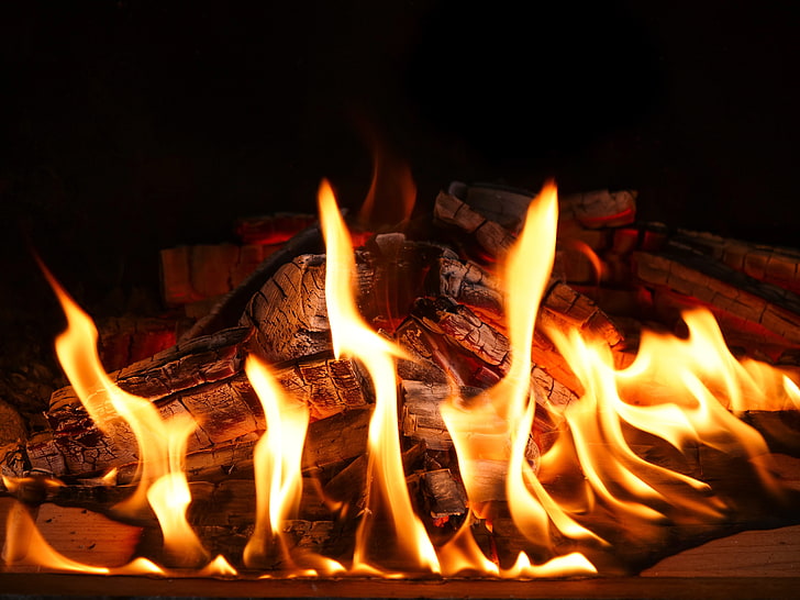 коричневые дрова, костер, огонь, пламя, ясень, HD обои
