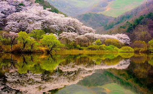 grünblättrige Bäume, Frühling, Wald, Berge, See, Reflexion, Blüten, Bäume, Natur, Landschaft, HD-Hintergrundbild HD wallpaper