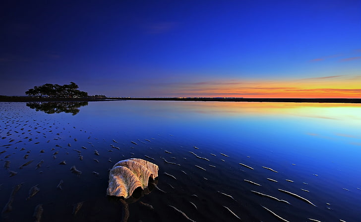 Wasserlandschaft, Muschelschale auf Gewässertapete, Natur, Strand, Blau, Wasserlandschaft, HD-Hintergrundbild