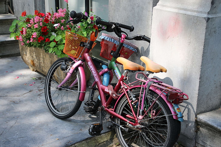 bike, bycicle, dutch, dutch traditional, flowers, holland, netherlands, ride, summer, traditional, travel, HD wallpaper