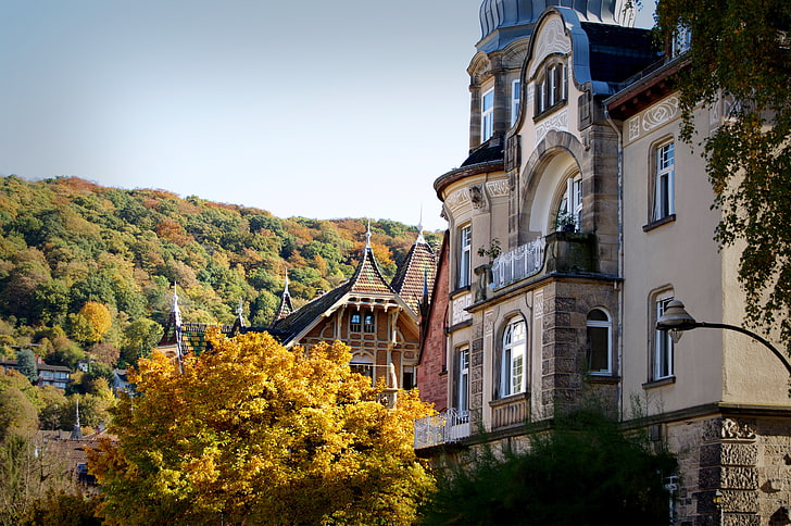 graues konkretes Schloss umgeben durch Bäume, Heidelberg, Deutschland, Gebäude, Architektur, Herbst, Wald, HD-Hintergrundbild