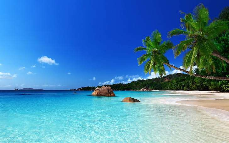 Тропически райски плаж Ocean Sea Palm Summer Coast 2560 × 1600, HD тапет