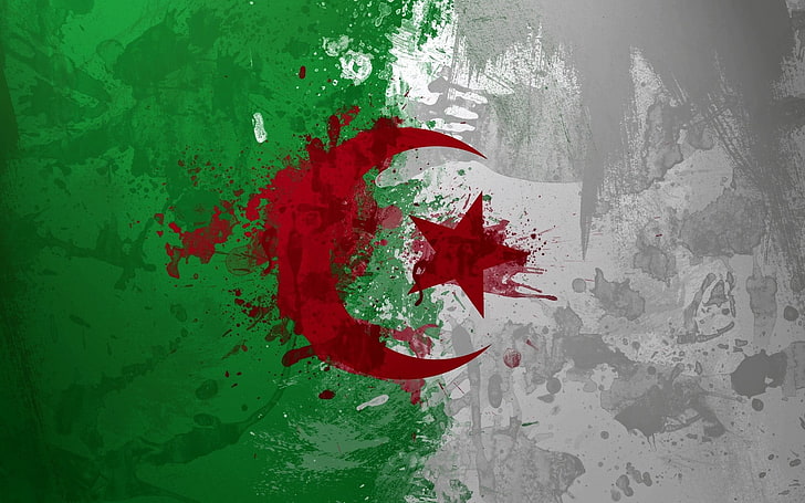 Algeria, Paint, Background, Texture, Surface, HD wallpaper