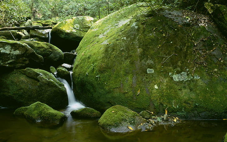 Rock Stones Moss Waterfall Timelapse Stream HD, ธรรมชาติ, หิน, หิน, ไทม์แลปส์, น้ำตก, สตรีม, มอส, วอลล์เปเปอร์ HD